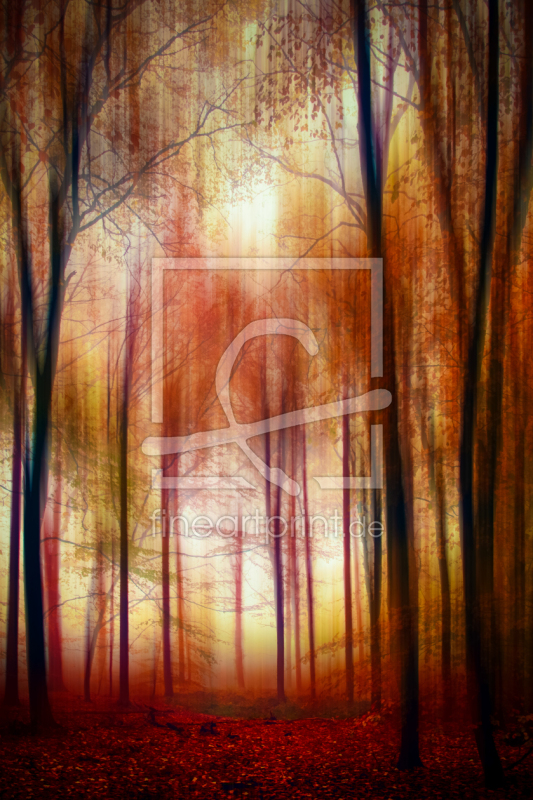 frei w&auml;hlbarer Bildausschnitt f&uuml;r Ihr Bild auf Poster