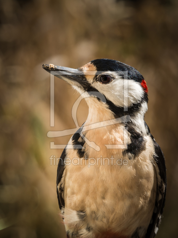 frei w&auml;hlbarer Bildausschnitt f&uuml;r Ihr Bild auf Poster