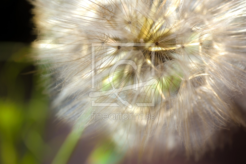 frei w&auml;hlbarer Bildausschnitt f&uuml;r Ihr Bild auf Poster