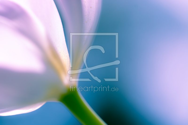 frei w&auml;hlbarer Bildausschnitt f&uuml;r Ihr Bild auf Poster