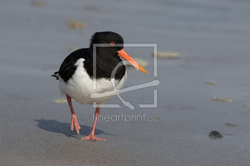 frei w&auml;hlbarer Bildausschnitt f&uuml;r Ihr Bild auf Poster