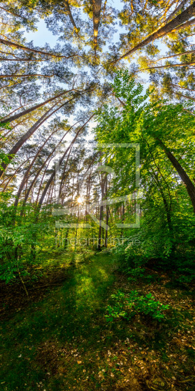 frei w&auml;hlbarer Bildausschnitt f&uuml;r Ihr Bild auf Poster