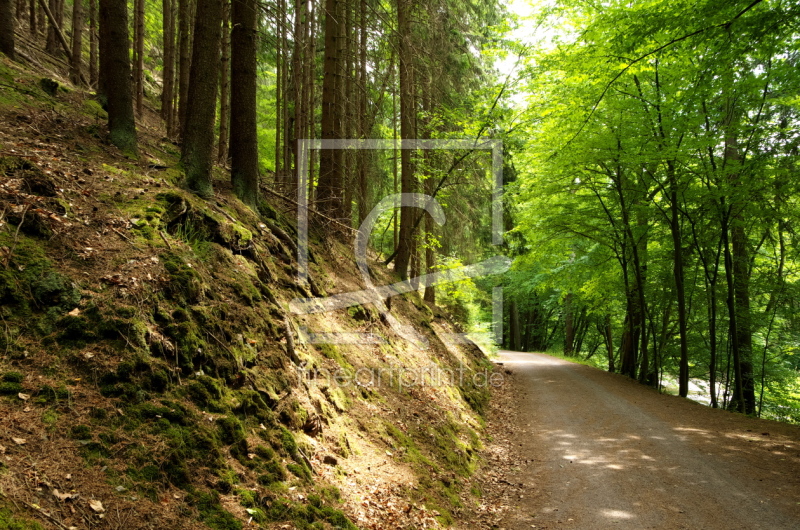 frei wählbarer Bildausschnitt für Ihr Bild auf Poster