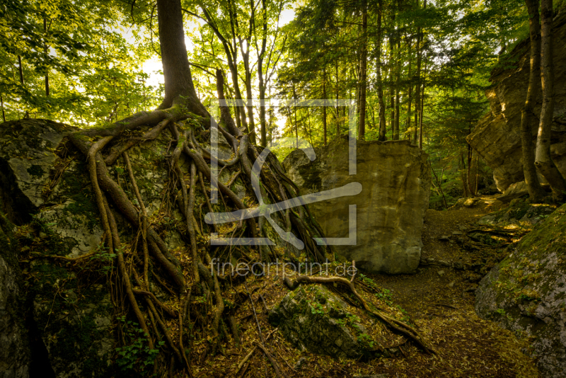 frei w&auml;hlbarer Bildausschnitt f&uuml;r Ihr Bild auf Poster