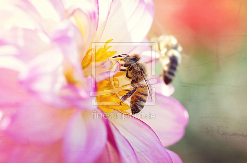 frei w&auml;hlbarer Bildausschnitt f&uuml;r Ihr Bild auf Poster