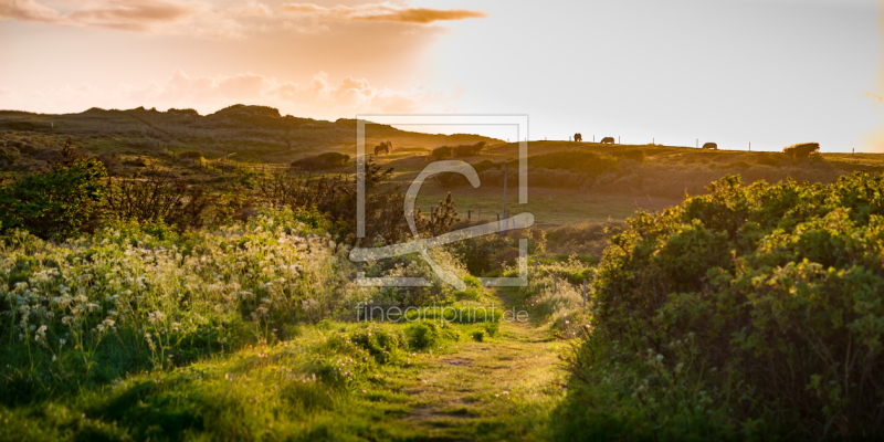 frei w&auml;hlbarer Bildausschnitt f&uuml;r Ihr Bild auf Poster