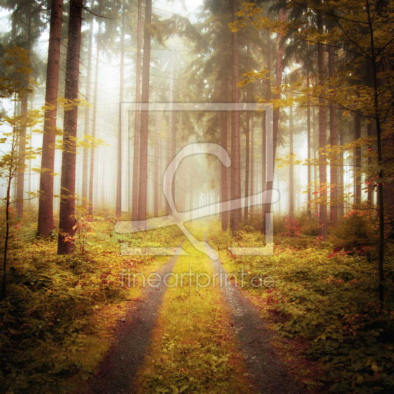 frei w&auml;hlbarer Bildausschnitt f&uuml;r Ihr Bild auf Poster