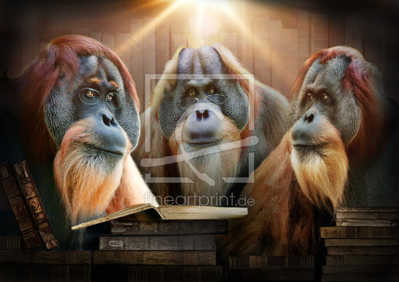 frei w&auml;hlbarer Bildausschnitt f&uuml;r Ihr Bild auf Poster