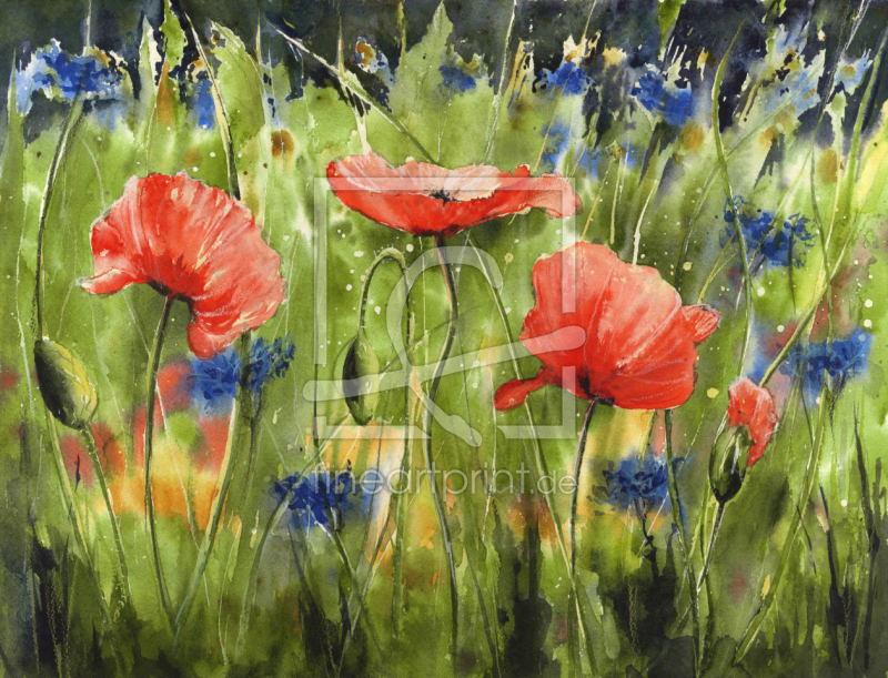 frei w&auml;hlbarer Bildausschnitt f&uuml;r Ihr Bild auf Poster