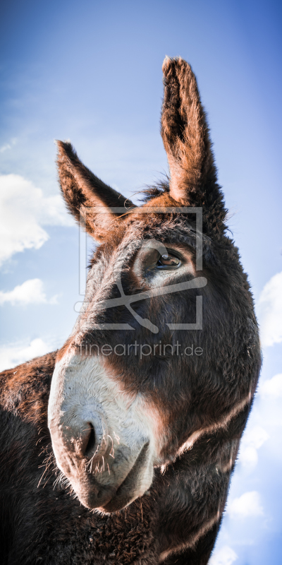 frei w&auml;hlbarer Bildausschnitt f&uuml;r Ihr Bild auf Poster
