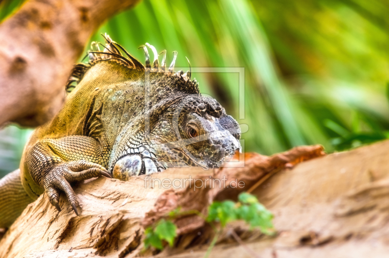 frei w&auml;hlbarer Bildausschnitt f&uuml;r Ihr Bild auf Poster