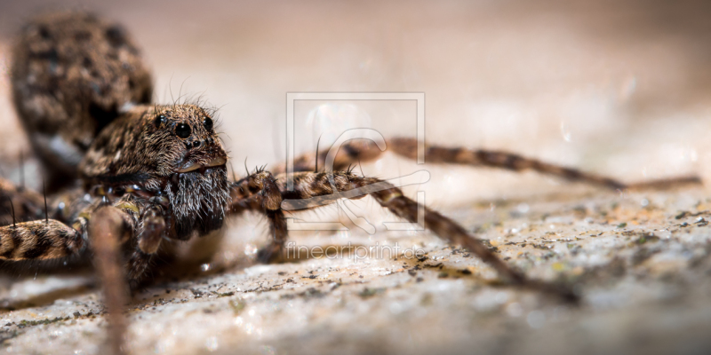 frei w&auml;hlbarer Bildausschnitt f&uuml;r Ihr Bild auf Poster