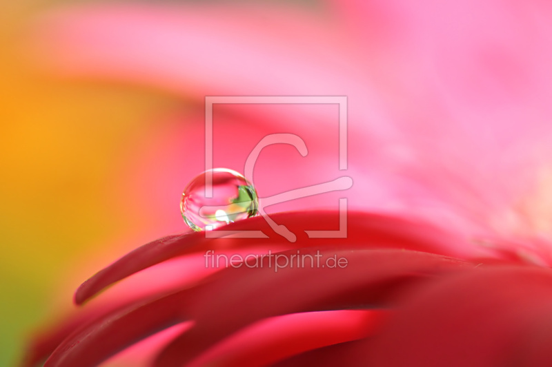 frei w&auml;hlbarer Bildausschnitt f&uuml;r Ihr Bild auf Poster