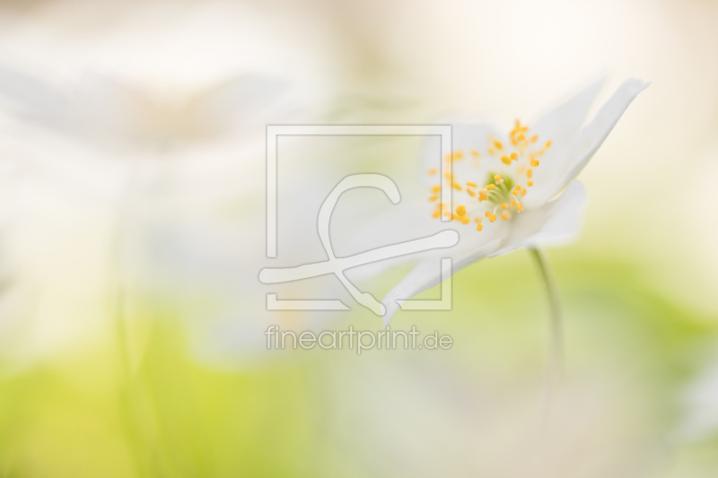 frei w&auml;hlbarer Bildausschnitt f&uuml;r Ihr Bild auf Poster