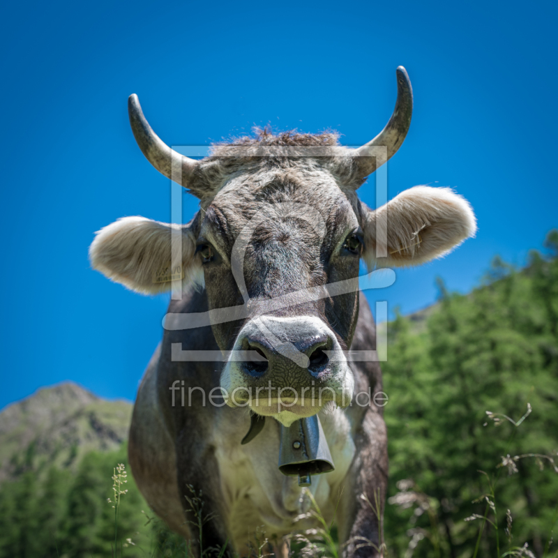 frei w&auml;hlbarer Bildausschnitt f&uuml;r Ihr Bild auf Poster