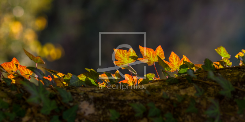 frei w&auml;hlbarer Bildausschnitt f&uuml;r Ihr Bild auf Poster