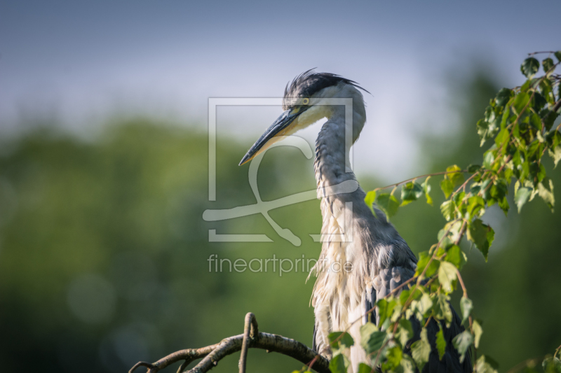 frei w&auml;hlbarer Bildausschnitt f&uuml;r Ihr Bild auf Poster