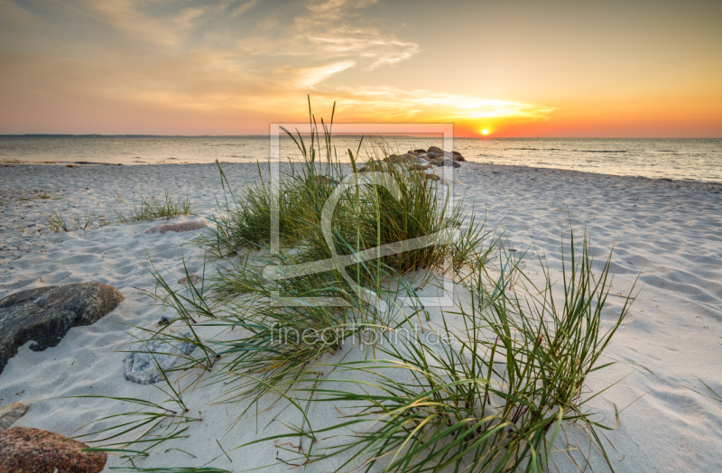 frei w&auml;hlbarer Bildausschnitt f&uuml;r Ihr Bild auf Poster