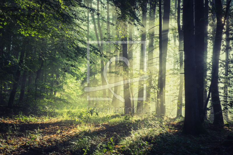 frei w&auml;hlbarer Bildausschnitt f&uuml;r Ihr Bild auf Poster