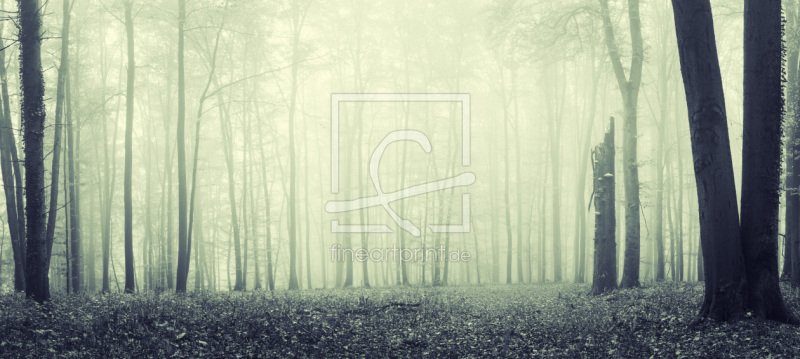 frei w&auml;hlbarer Bildausschnitt f&uuml;r Ihr Bild auf Poster