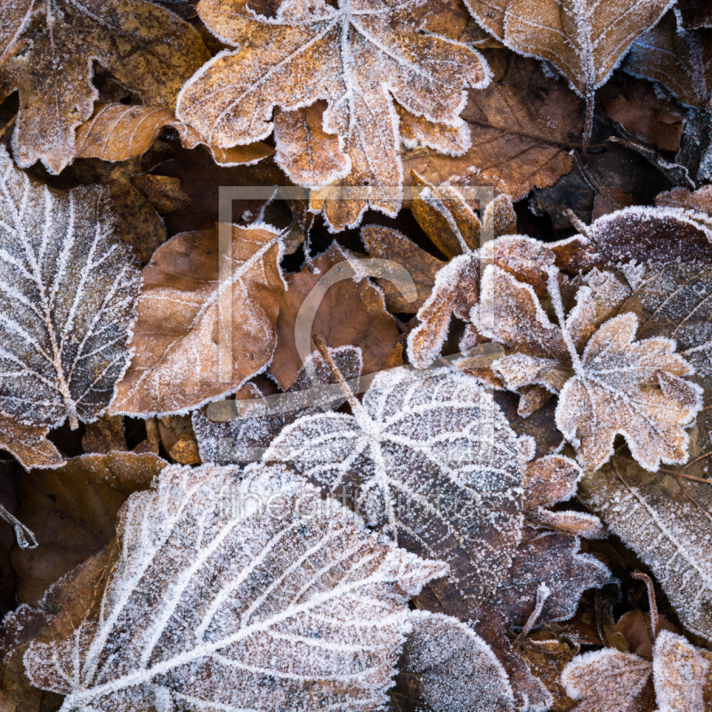 frei w&auml;hlbarer Bildausschnitt f&uuml;r Ihr Bild auf Poster