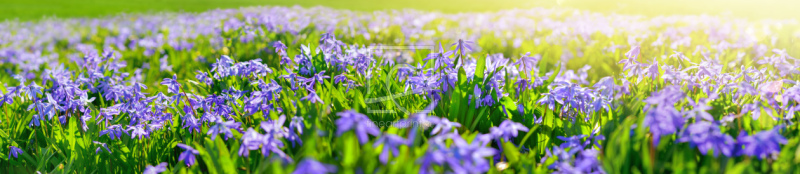 frei w&auml;hlbarer Bildausschnitt f&uuml;r Ihr Bild auf Poster