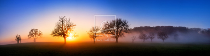 frei wählbarer Bildausschnitt für Ihr Bild auf Poster