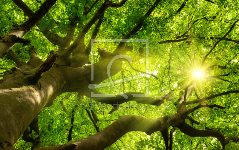 frei w&auml;hlbarer Bildausschnitt f&uuml;r Ihr Bild auf Poster