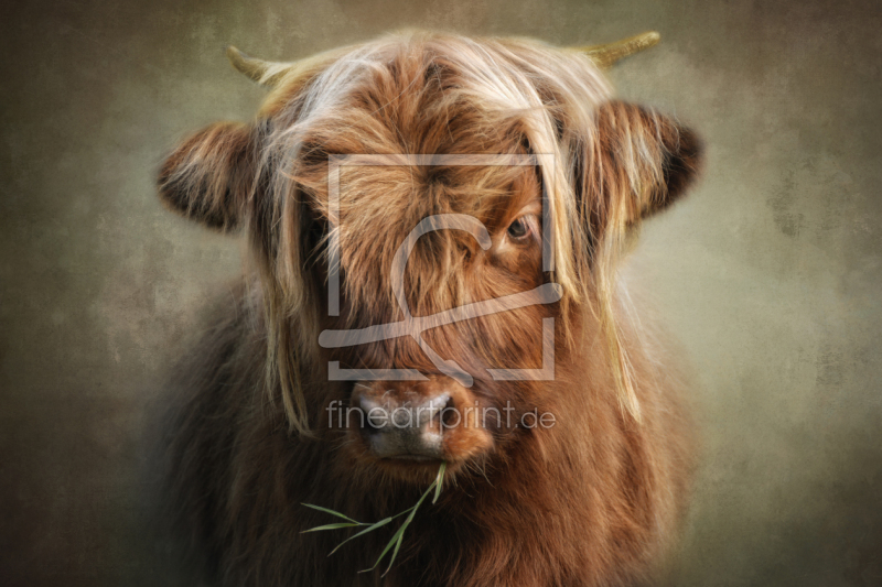 frei w&auml;hlbarer Bildausschnitt f&uuml;r Ihr Bild auf Poster