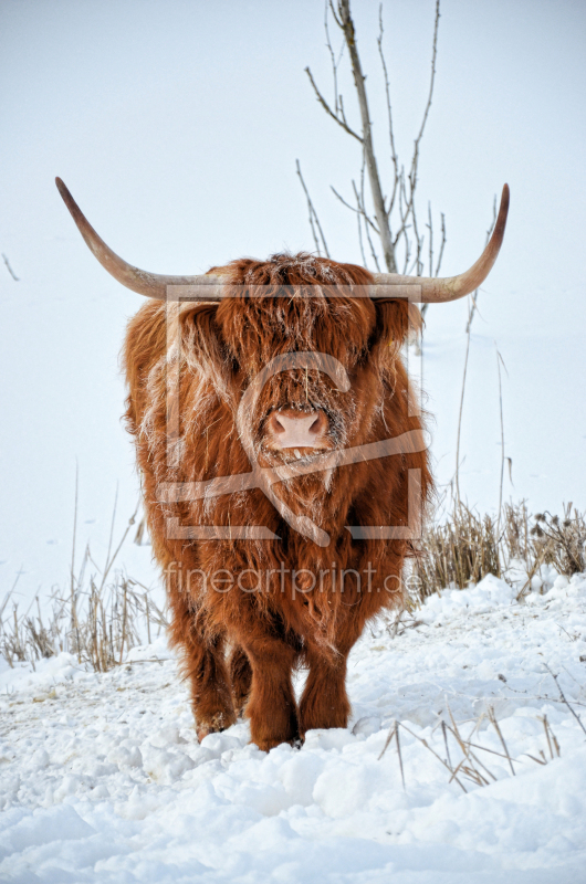 frei w&auml;hlbarer Bildausschnitt f&uuml;r Ihr Bild auf Poster