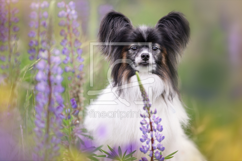 frei w&auml;hlbarer Bildausschnitt f&uuml;r Ihr Bild auf Poster