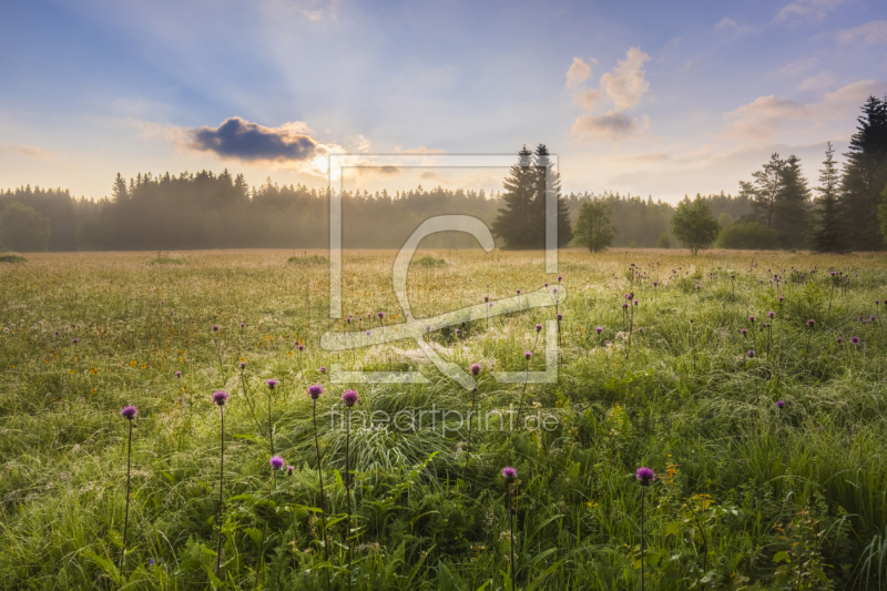 frei w&auml;hlbarer Bildausschnitt f&uuml;r Ihr Bild auf Poster