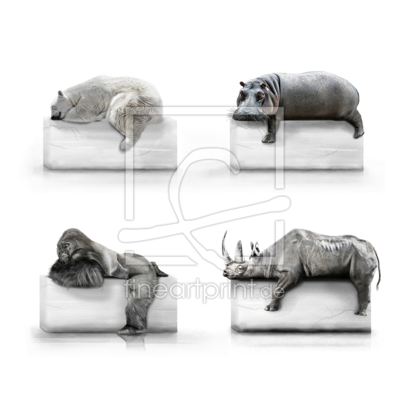 frei w&auml;hlbarer Bildausschnitt f&uuml;r Ihr Bild auf Poster