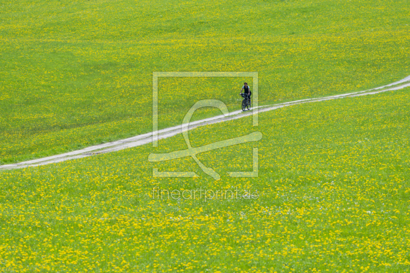 frei w&auml;hlbarer Bildausschnitt f&uuml;r Ihr Bild auf Poster
