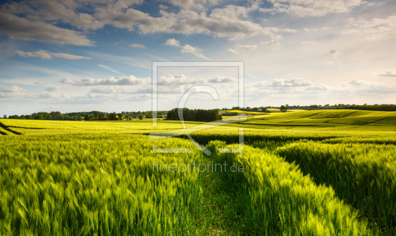 frei w&auml;hlbarer Bildausschnitt f&uuml;r Ihr Bild auf Poster