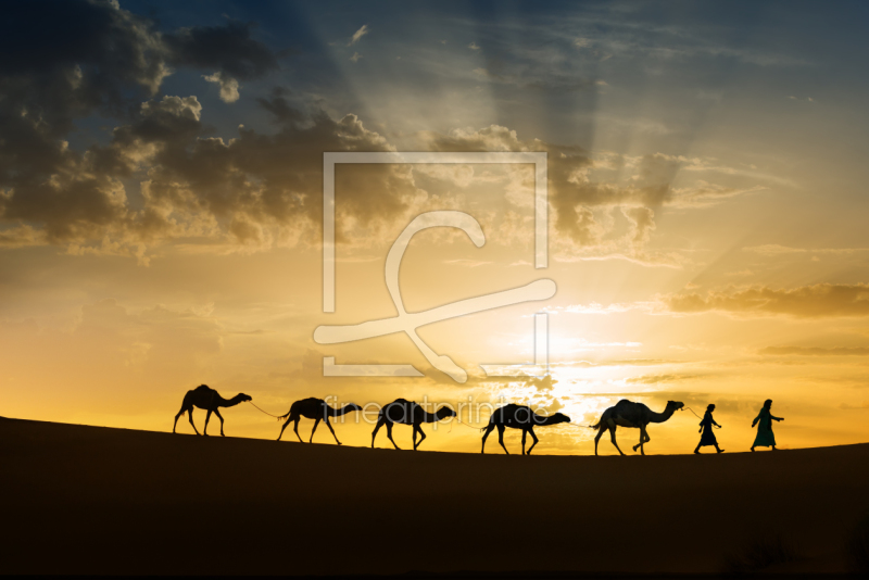 frei w&auml;hlbarer Bildausschnitt f&uuml;r Ihr Bild auf Poster