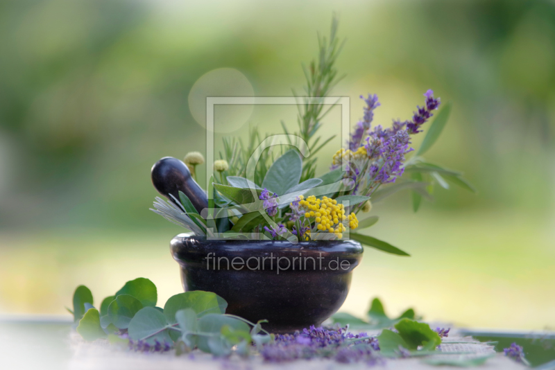 frei w&auml;hlbarer Bildausschnitt f&uuml;r Ihr Bild auf Poster