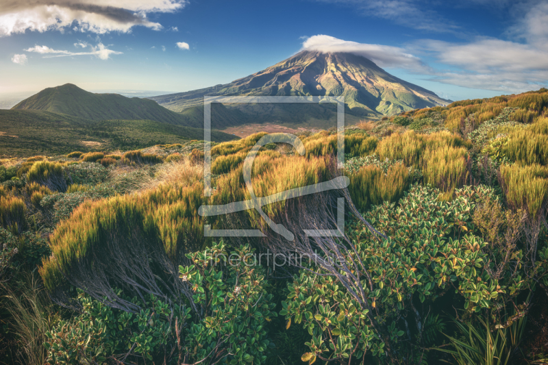 frei w&auml;hlbarer Bildausschnitt f&uuml;r Ihr Bild auf Poster