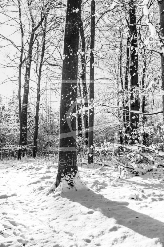 frei w&auml;hlbarer Bildausschnitt f&uuml;r Ihr Bild auf Poster