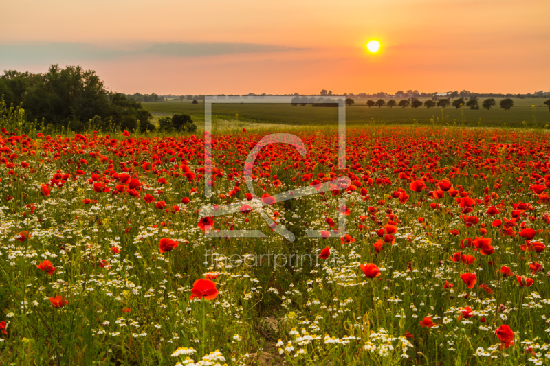 frei w&auml;hlbarer Bildausschnitt f&uuml;r Ihr Bild auf Poster