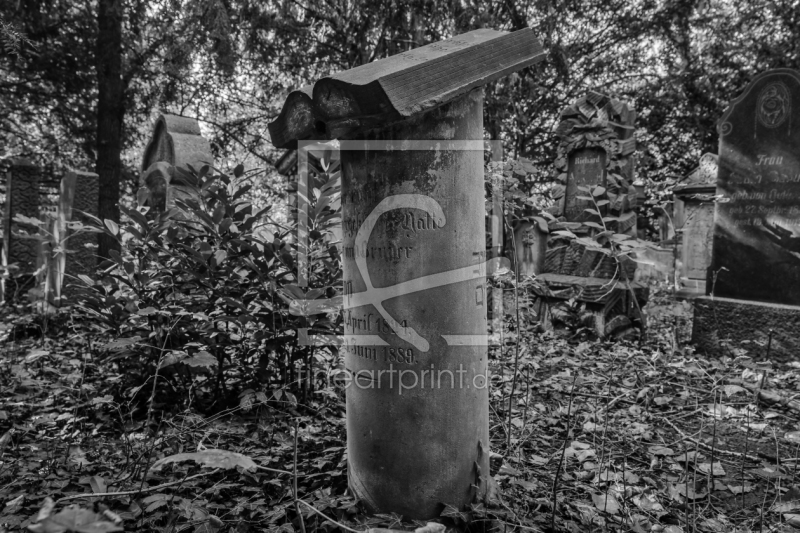 frei w&auml;hlbarer Bildausschnitt f&uuml;r Ihr Bild auf Poster