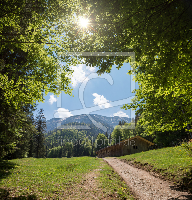 frei w&auml;hlbarer Bildausschnitt f&uuml;r Ihr Bild auf Poster