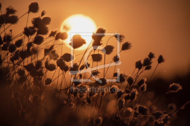 frei w&auml;hlbarer Bildausschnitt f&uuml;r Ihr Bild auf Poster