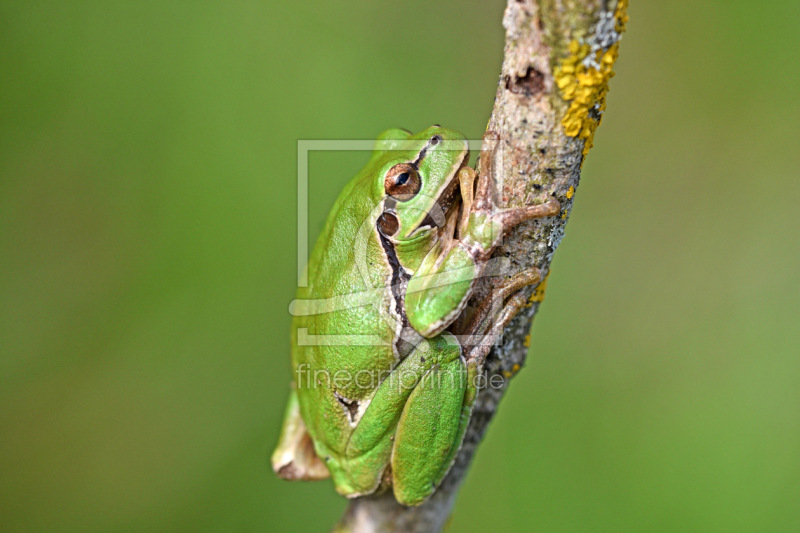 frei w&auml;hlbarer Bildausschnitt f&uuml;r Ihr Bild auf Poster