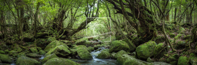 frei w&auml;hlbarer Bildausschnitt f&uuml;r Ihr Bild auf Poster