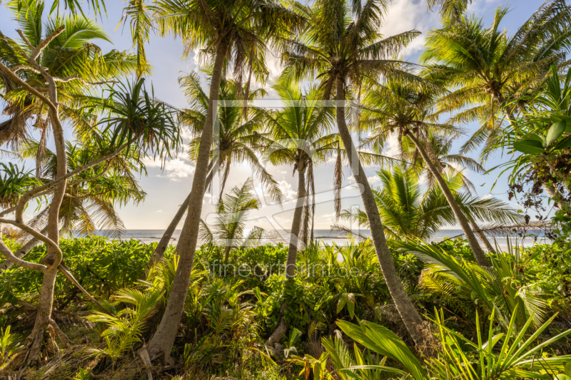 frei w&auml;hlbarer Bildausschnitt f&uuml;r Ihr Bild auf Poster