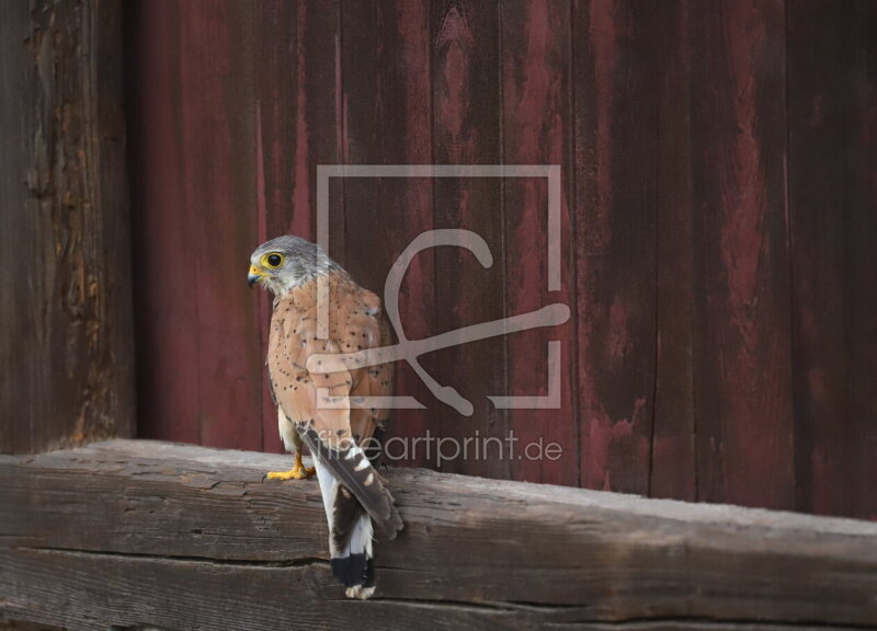 frei w&auml;hlbarer Bildausschnitt f&uuml;r Ihr Bild auf Poster