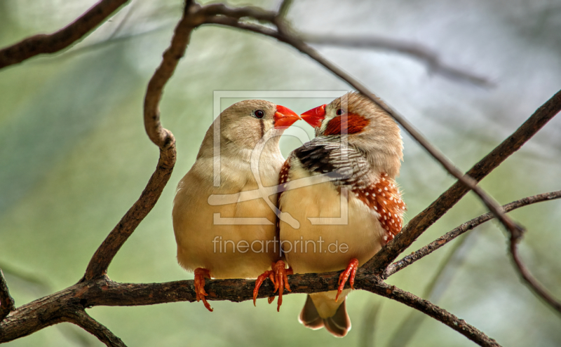 frei w&auml;hlbarer Bildausschnitt f&uuml;r Ihr Bild auf Poster