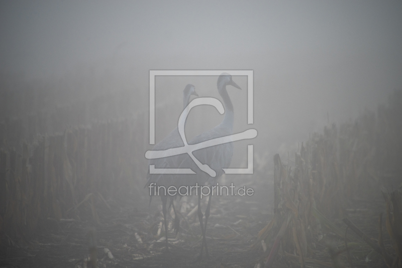 frei w&auml;hlbarer Bildausschnitt f&uuml;r Ihr Bild auf Poster