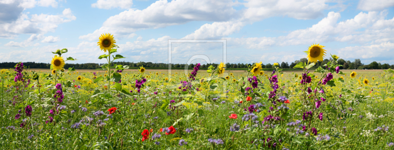 frei w&auml;hlbarer Bildausschnitt f&uuml;r Ihr Bild auf Poster